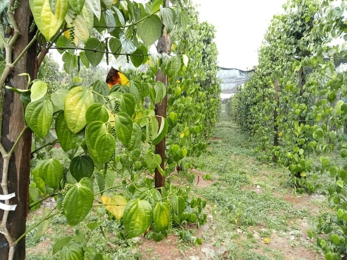 Ratanakiri Farmhouse & Trekking Banlung Eksteriør bilde