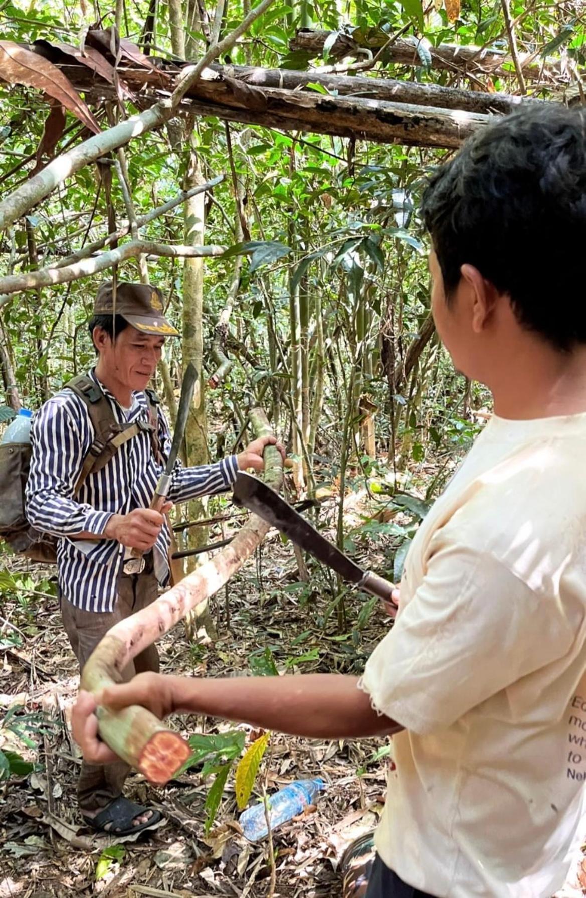 Ratanakiri Farmhouse & Trekking Banlung Eksteriør bilde