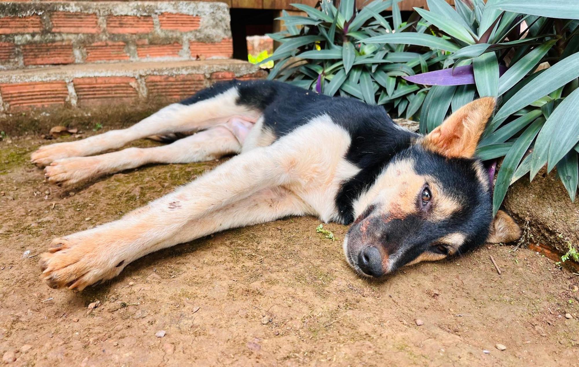 Ratanakiri Farmhouse & Trekking Banlung Eksteriør bilde