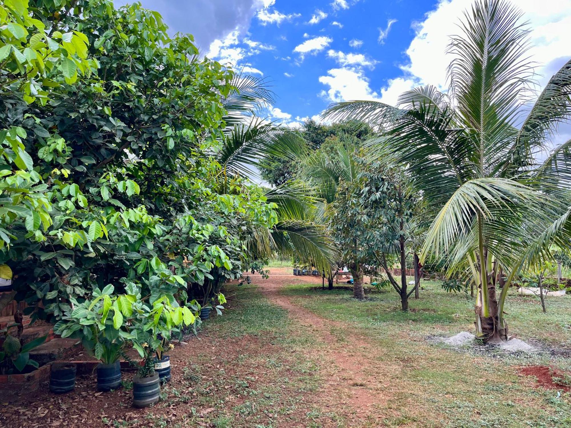 Ratanakiri Farmhouse & Trekking Banlung Eksteriør bilde