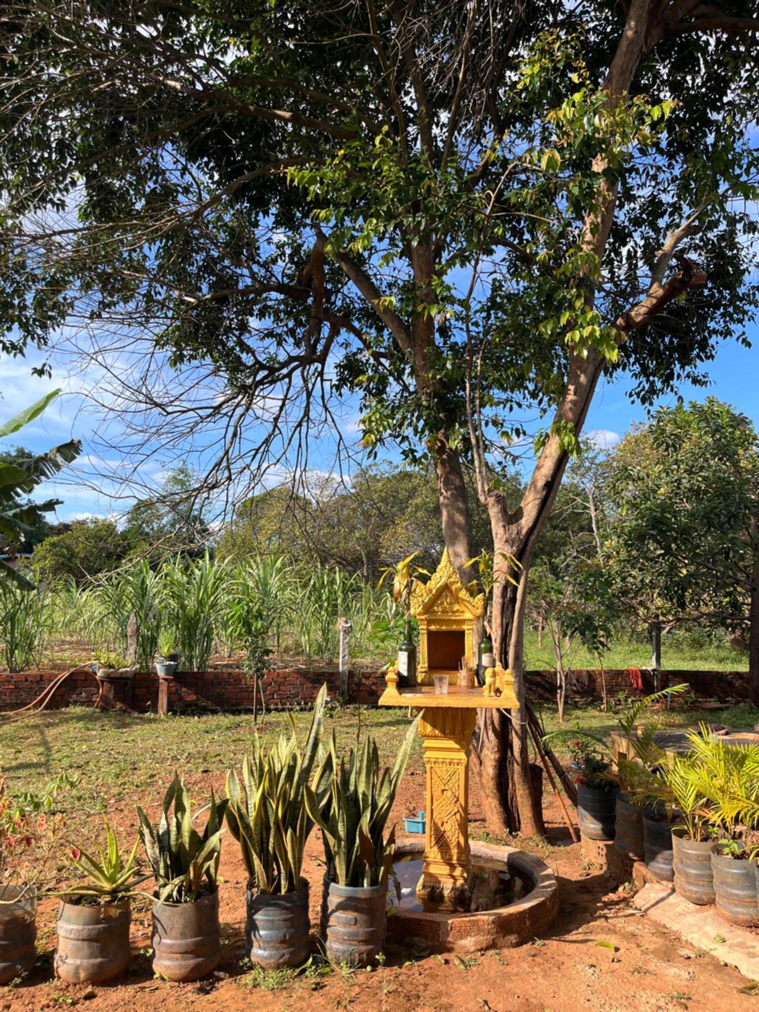 Ratanakiri Farmhouse & Trekking Banlung Eksteriør bilde