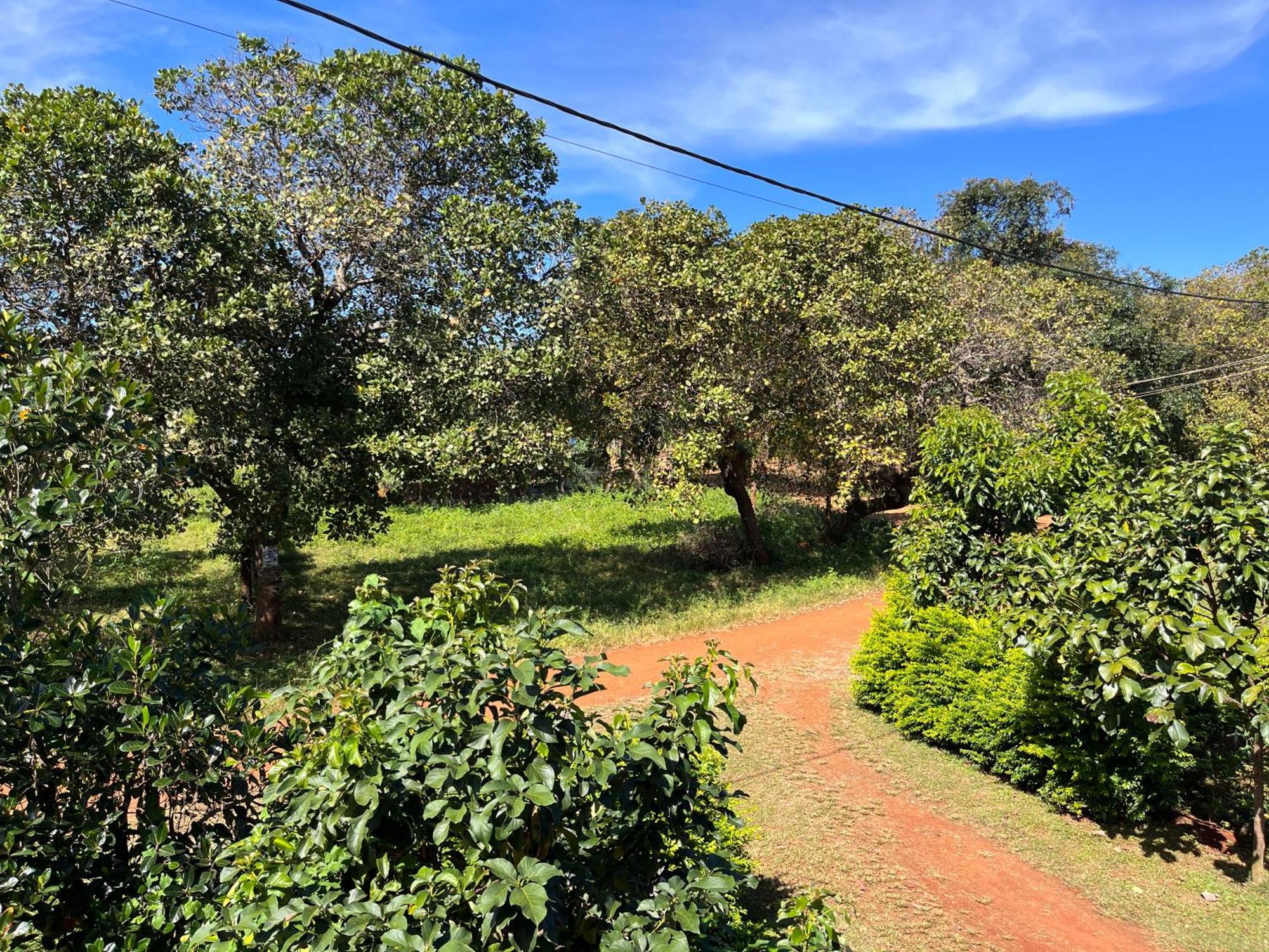 Ratanakiri Farmhouse & Trekking Banlung Eksteriør bilde